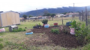 And our garden!